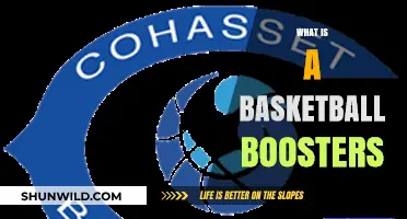 Understanding Basketball Boosters: Roles, Impact, and Community Support