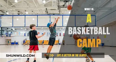 Exploring Basketball Camps: Skills, Fun, and Growth for Young Athletes