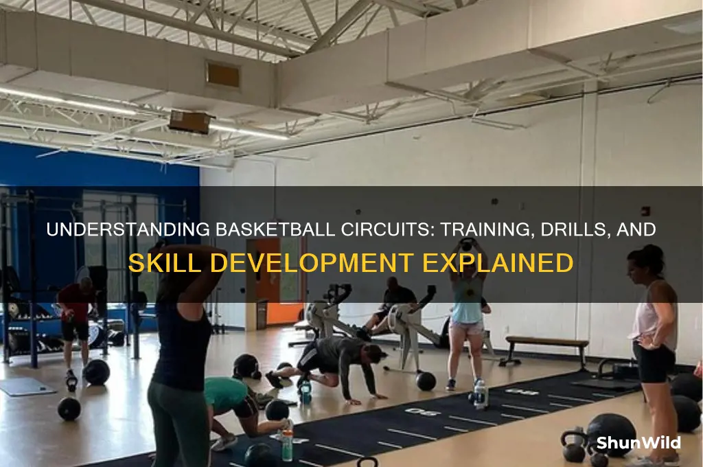what is a basketball circuit