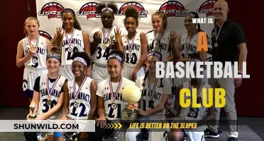 Understanding the Role and Impact of a Basketball Club