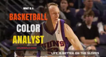 Understanding the Role of a Basketball Color Analyst in Sports Broadcasting