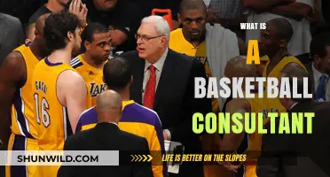 Understanding the Role of a Basketball Consultant in the Sports Industry