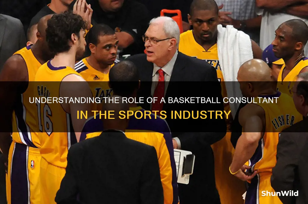 what is a basketball consultant