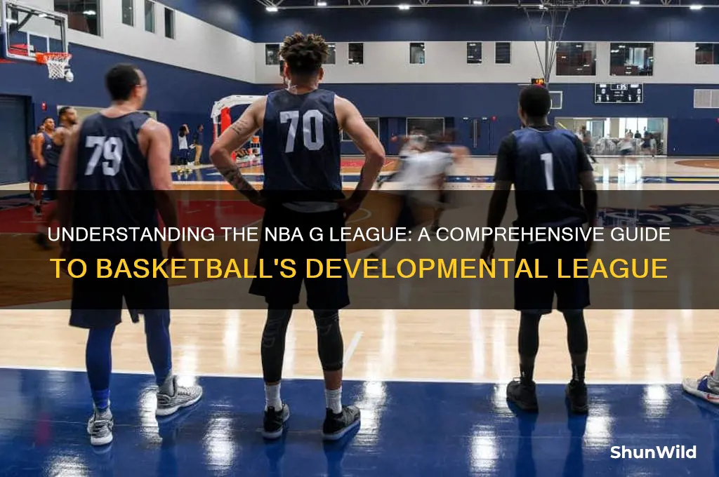what is a basketball d league
