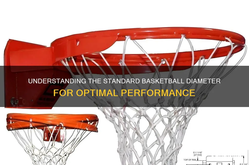 what is a basketball diameter