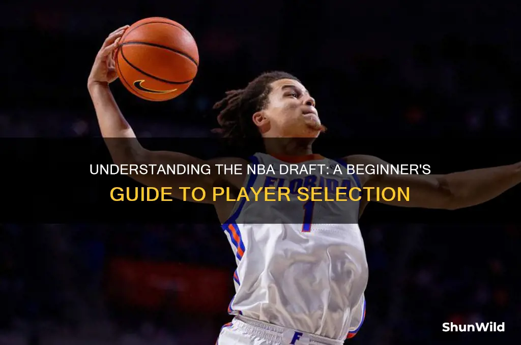what is a basketball draft