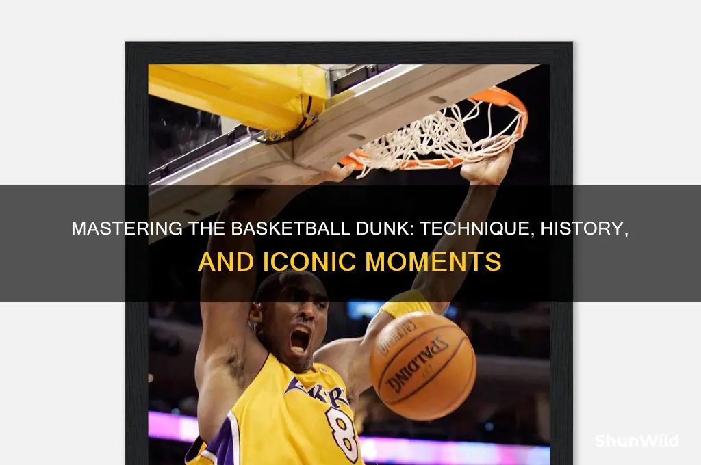 what is a basketball dunk