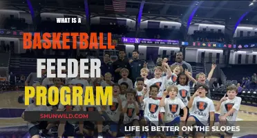Understanding Basketball Feeder Programs: Developing Talent for the Next Level