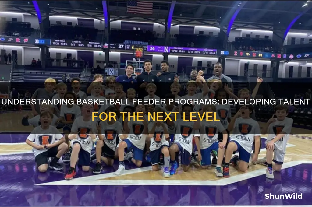 what is a basketball feeder program
