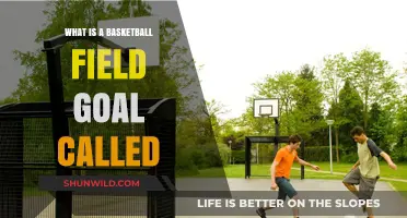 Understanding the Term: What is a Basketball Field Goal Called?