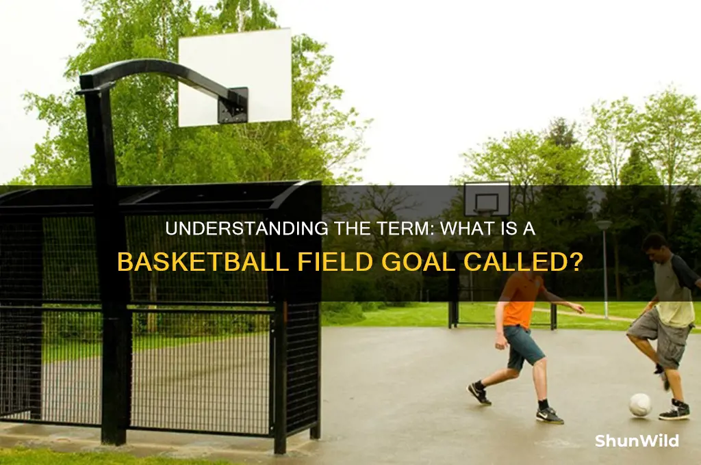 what is a basketball field goal called