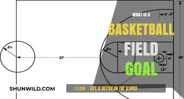 Basketball Field Goal: Understanding the Basics