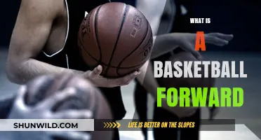 Understanding the Role and Impact of a Basketball Forward