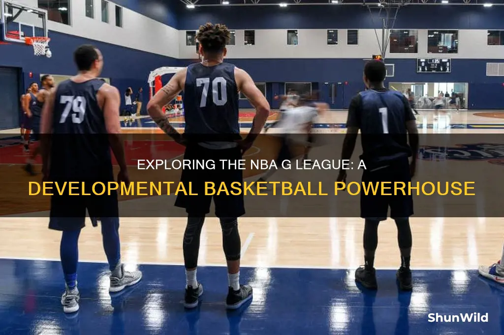 what is a basketball g league