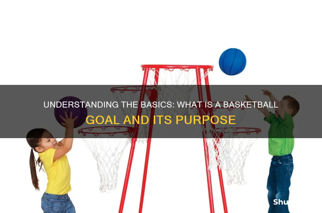 what is a basketball goal