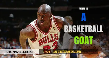 Understanding the Basketball GOAT: Defining the Greatest of All Time