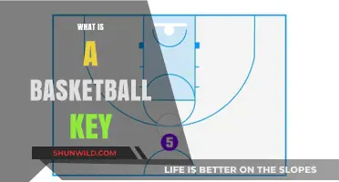 Understanding the Basketball Key: Its Role and Importance in the Game