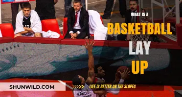 Mastering the Basketball Lay-Up: Essential Skills and Techniques Explained