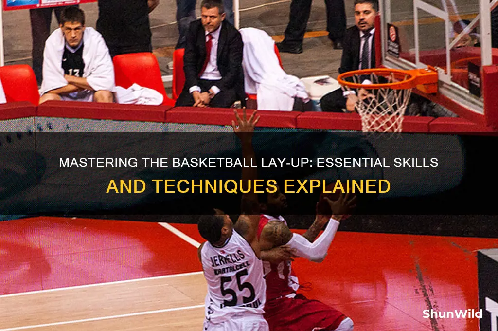 what is a basketball lay up
