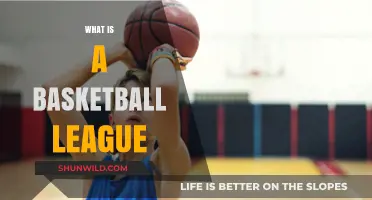 Understanding the Structure and Purpose of a Basketball League