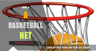 Understanding the Role and Design of a Basketball Net