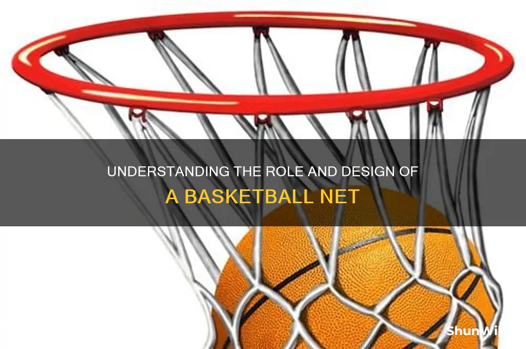 what is a basketball net