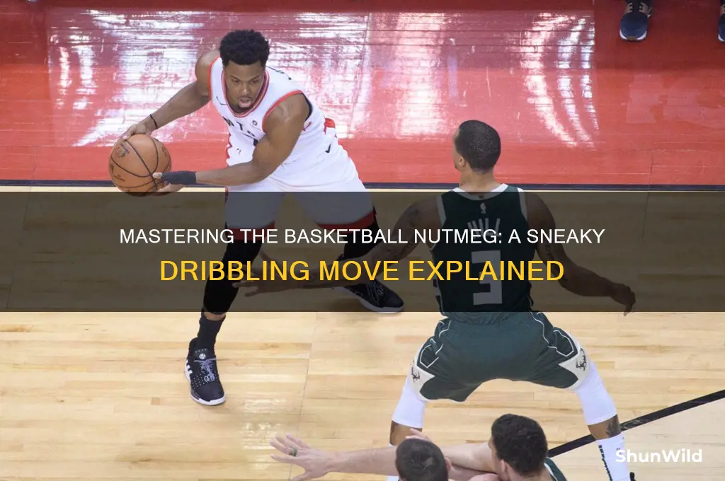 what is a basketball nutmeg