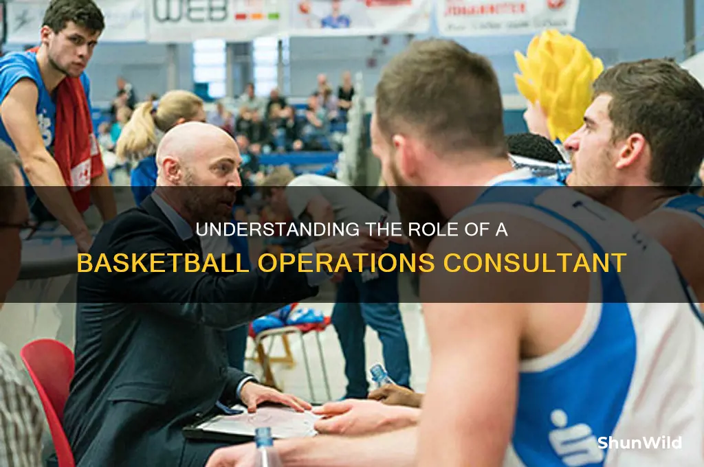 what is a basketball operations consultant