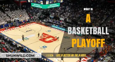 Understanding Basketball Playoffs: Format, Intensity, and Road to Championship