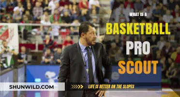 Understanding the Role of a Basketball Pro Scout
