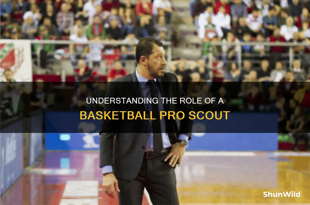what is a basketball pro scout