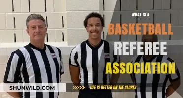 Understanding the Role of a Basketball Referee Association
