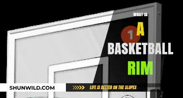 Understanding the Basketball Rim: Essential Components and Functionality Explained