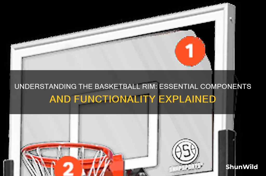what is a basketball rim