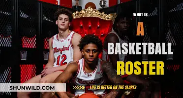 Understanding the Role and Importance of a Basketball Roster
