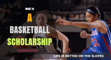 Understanding Basketball Scholarships: A Path to Education and Sports Excellence