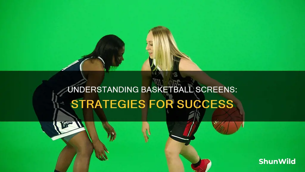 what is a basketball screen
