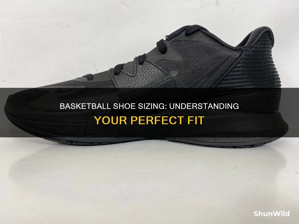 what is a basketball shoe size