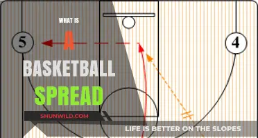 Understanding Basketball Spread: A Beginner's Guide to Point Differentials