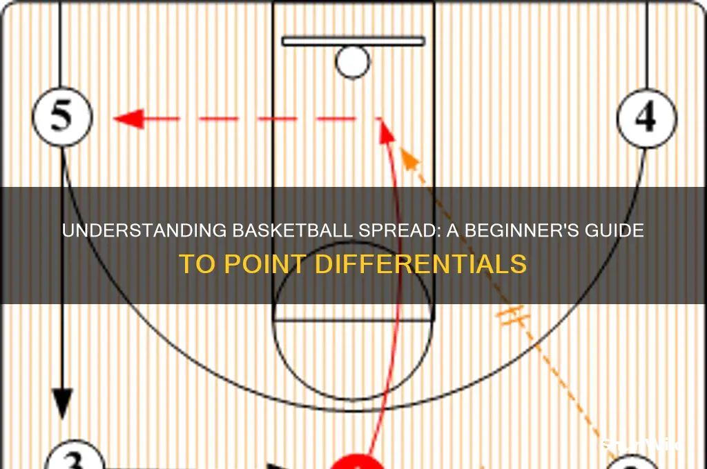 what is a basketball spread
