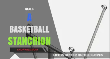 Understanding the Role and Importance of a Basketball Stanchion