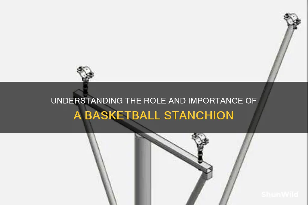 what is a basketball stanchion