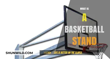 Understanding the Basics: What is a Basketball Stand and Its Uses