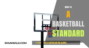 Understanding the Basics: What is a Basketball Standard?