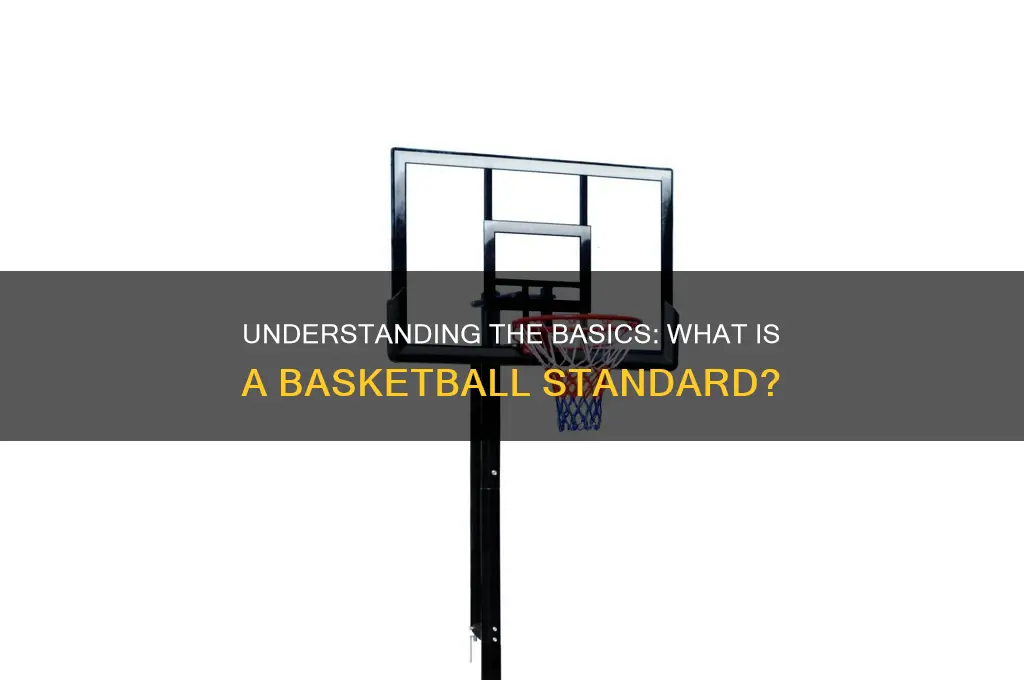 what is a basketball standard