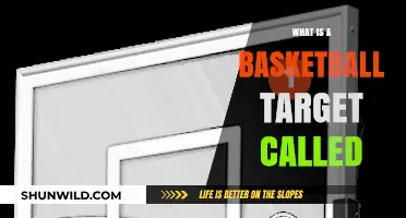 Understanding the Basketball Target: What's the Official Name?