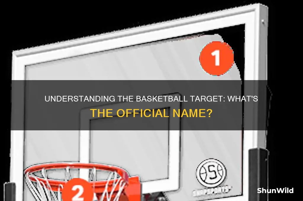 what is a basketball target called