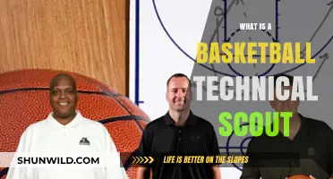 Understanding the Role of a Basketball Technical Scout