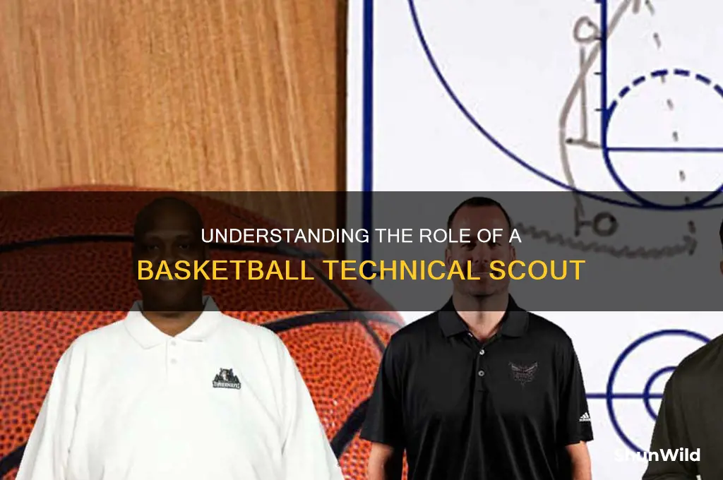 what is a basketball technical scout