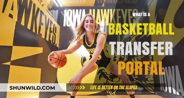 Understanding the Basketball Transfer Portal: A Game-Changer for Players and Teams